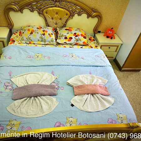 Apartament De Lux Zona 0 Botosani 2 Camere Экстерьер фото